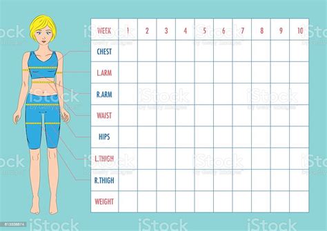 Body Measurement Tracking Chart Layout Blank Weight Loss Chart Stock