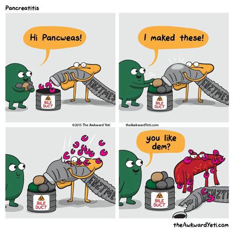 Pancreatitis Enzymes Gall Stones Science Comic Awkward Yeti Funny