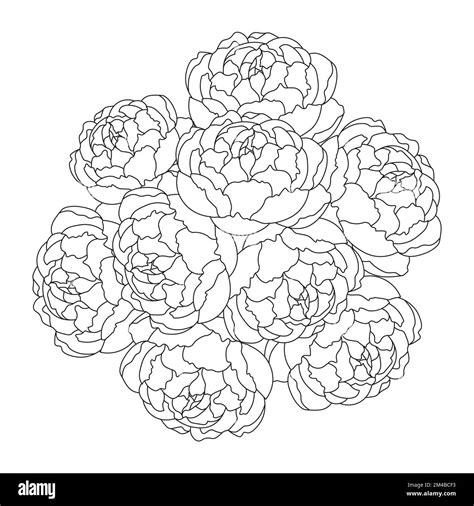 Peony Flower Bouquet Doodle Art Of Flower Coloring Page Outline Vector