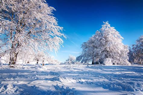 Sunny Winter Snow Landscape With Tree Shadows Photohdx