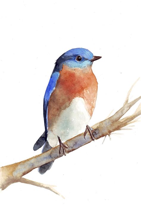 Bluebird Painting B034 Print Of Watercolor Painting A4 Print