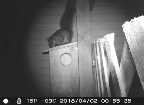 IMAG0948 (2) – Oakland County Blog