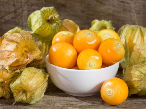 8 Wonderful Benefits Of Golden Berries Organic Facts