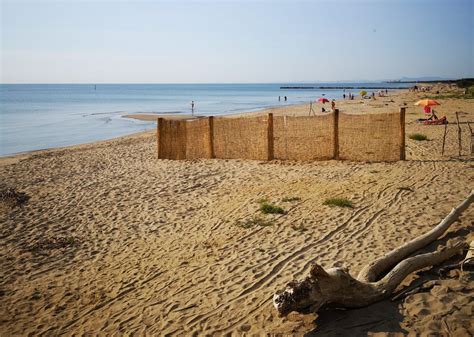 Spiaggia Naturista A Lido Di Dante Unordinanza Per Regolamentare E Individuare Larea