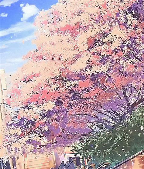 Zero Two Wallpaper Cherry Blossom Anime Wallpaper Hd