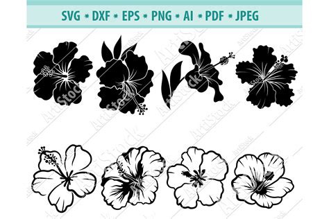 Hibiscus Svg file, Hawaiian flower Svg, Fowers Dxf, Eps, Png (809655