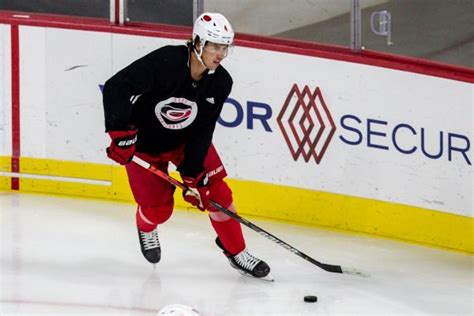 Hockeydraft.ca tracks your group's fantasy hockey pools so you don't have to! Haydn Fleury Stats, News, Videos, Highlights, Pictures ...
