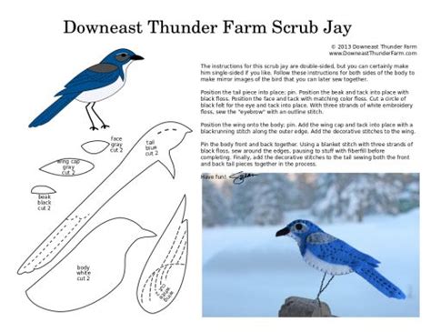 The Curious Scrub Jay Downeast Thunder Farm Felt Birds Felt Birds