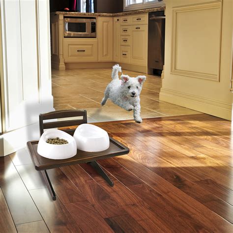 Everyone knows the old saying that a cat always lands on her feet. Fall Colors Inspire Green Shopping - Richell USA Inc.