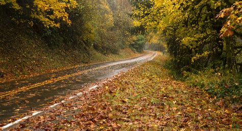 Wet Rainy Autumn Day Leaves Fall Two Lane Highway Travel
