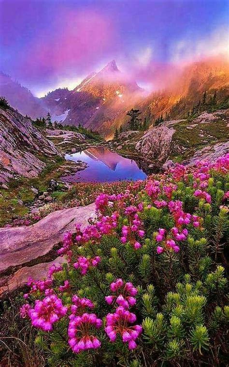 Breathtaking Mountain Sunset Beautifulnature
