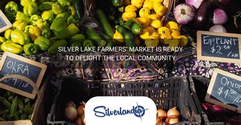 Silver Lake Farmers Market Is Ready To Delight The Local Community