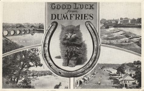 Postcard Paper Poster Advertising Vintage Retro Antique Cat