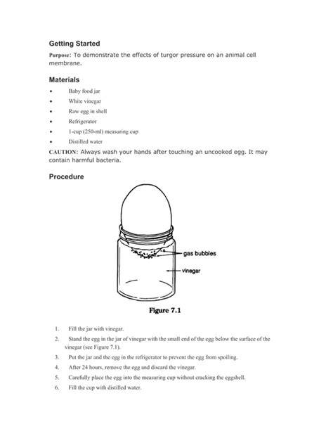 Osmosis Project Of Chemistry Pdf