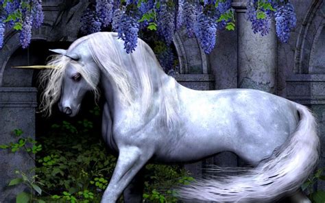 White Horse Unicorn 810x804 Wallpaper