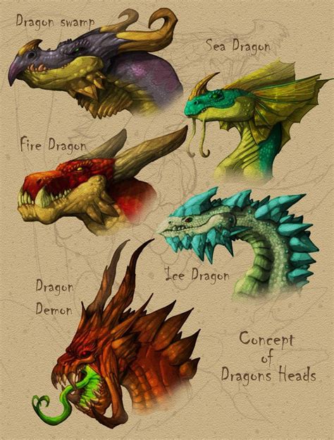 Concept Heads Dragons By Douglasdraco Dragon Sketch Dragon Artwork