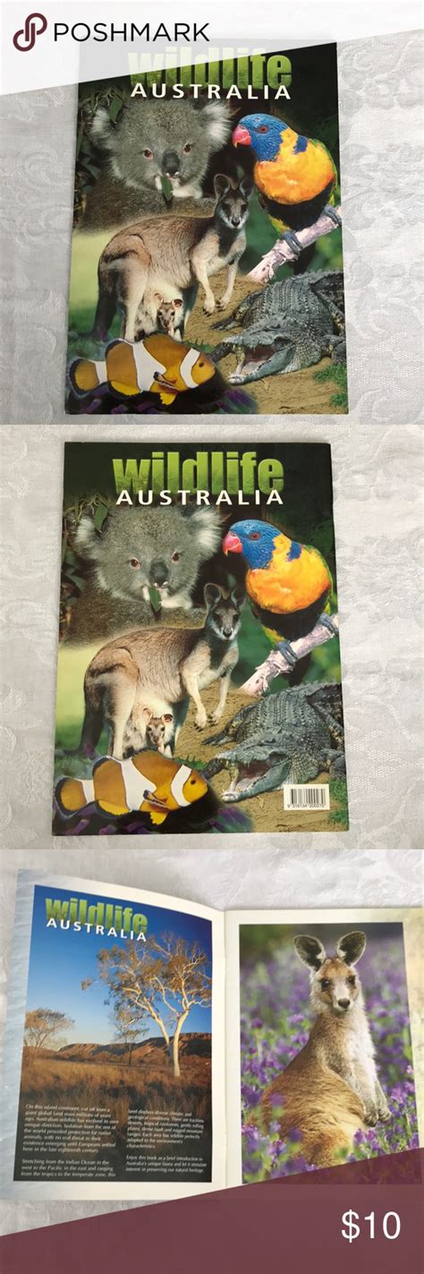 Wildlife Australia Soft cover Accents Coffee Table Books | Wildlife