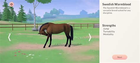 Equestrian The Game Apk Télécharger Pour Android Mise à Jour