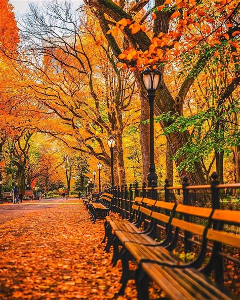 Central Park Nyc Fall Favorites Central Park Autumn Hd Phone Wallpaper