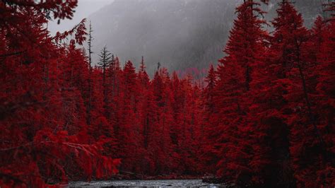 Download 1920x1080 Wallpaper Red Forest Tree Stream Nature Full Hd