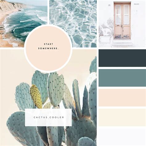 BrandUp Color Palette // Cactus Cooler | Web design color ...