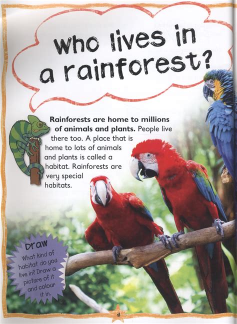 Why Do Parrots Talk By Kelly Miles 9781848106390 Brownsbfs
