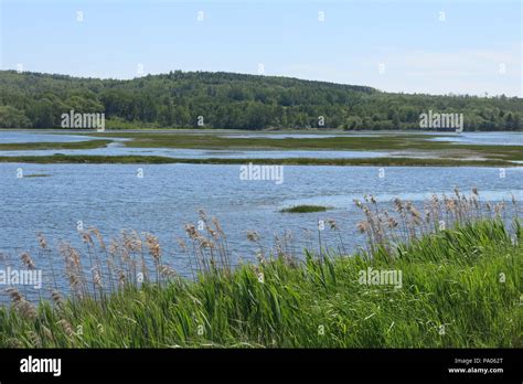 A stroll along the dyke walk gives beautiful views of the grass habitat