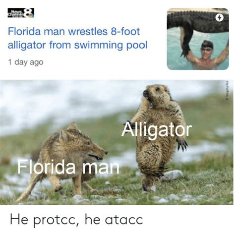 Ww Florida Man Wrestles 8 Foot Alligator From Swimming Pool 1 Day Ago