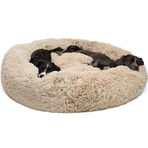 Best Dog Beds Top Rated Dog Beds 2022 American Kennel Club 2022