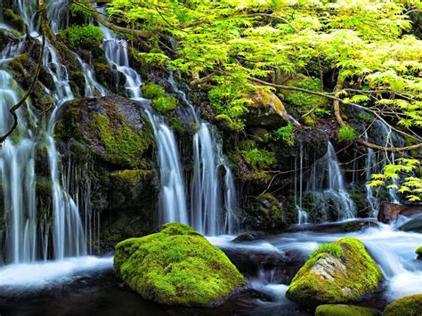 Stream Waterfall In Spring Rocks With Green Moss Clear Water Green