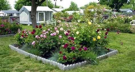 Homeofficedecoration Garden Design Ideas Roses