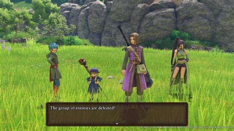 The heroes of dragonball na are the same in the normal dragon ball with some added characters. Dragon Quest XI S: Echoes of An Elusive Age - Definitive ...