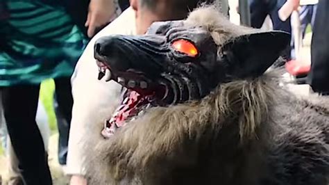 We did not find results for: Robot wolf saves Japanese crops from wild boars