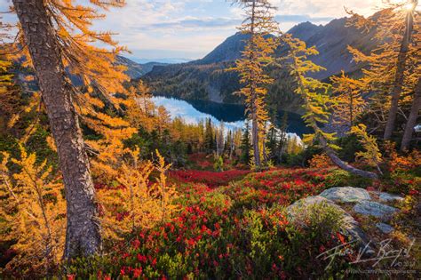 Autumn Gems Cascades Wa Art In Nature Photography