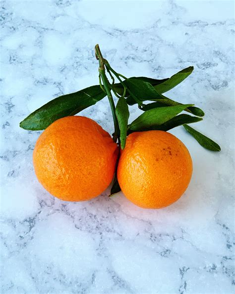Stem And Leaf Clementines Indicate Freshness With Faster Shipping