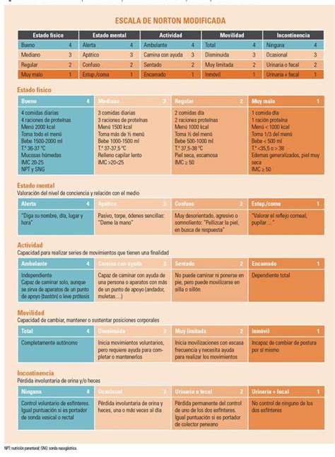 Ri Ones Simular Esplendor Escala De Valoracion De Braden Exposici N Adaptabilidad Pulgada