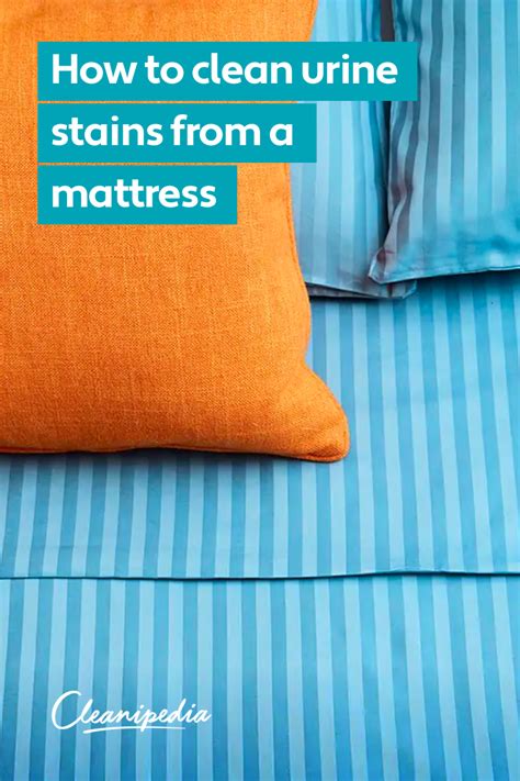 Gather your mattress cleaning supplies. How to Clean Urine from a Mattress - 7 Steps | Cleanipedia ...