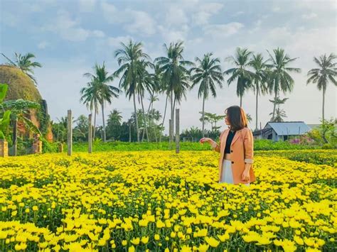 Cai Mon Ornamental Flower Village In Cho Lach Ben Tre Vemekong