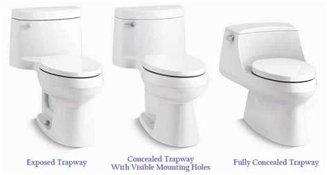 22 Toilet Types And Options For Your Bathroom Extensive Buying Guide