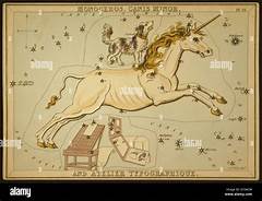 Rare As A Unicorn Witness The Astronomical Probability Of Your March 25th Birth