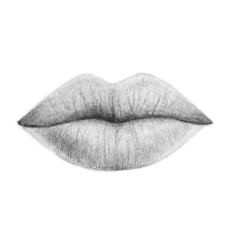 lip drawing