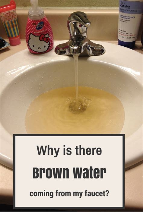 Brown Toilet Water Three Possible Causes