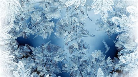 Hd Wallpaper Frosted Glass Wide Hd Cold Temperature Winter Snow