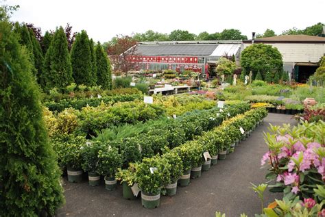 Parents would like their baby's nursery to be comfortable and adorable, yet the design must be fresh and updated. Plants @ Larchmont Nurseries and Construction