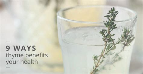 Serve the lemonade in mason jars and add a colorful paper straw for a rustic. شراب Thyme : Ø¨Ù„Ø³Ù… Ø´Ø±Ø§Ø¨ Ù„Ù„ÙƒØ­Ø© Ù‡Ù„ ÙŠØµÙ„Ø­ Ù ...