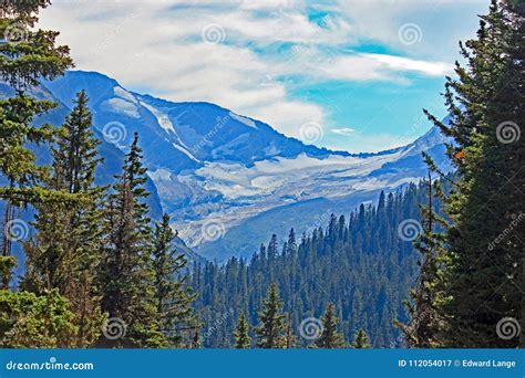 Glacier National Park Trees Lakes And Mountains Stock Image Image Of