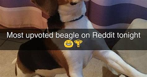 Louis Thanks You For Your Upvotes Imgur