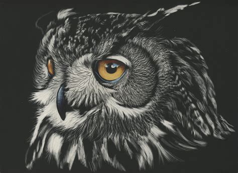 Owl Painting 4k Hd Animals 4k Wallpapers Images Backgrounds Photos