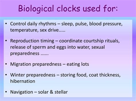 Ppt Biological Clocks Powerpoint Presentation Free Download Id4869584