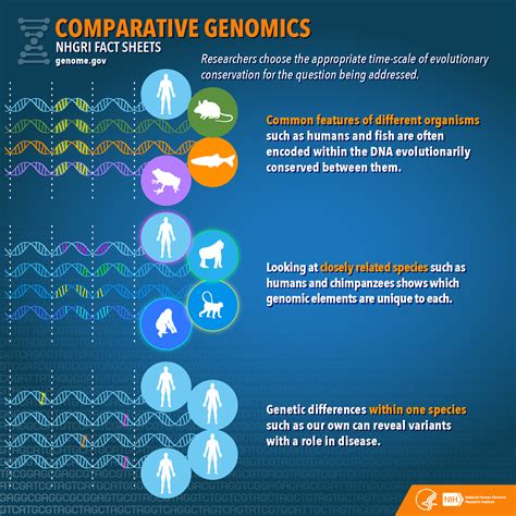 Comparative Genomics Fact Sheet Nhgri